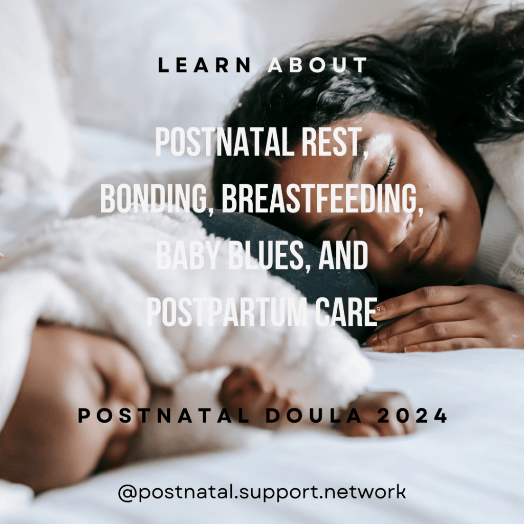 Online Postpartum Doula Training